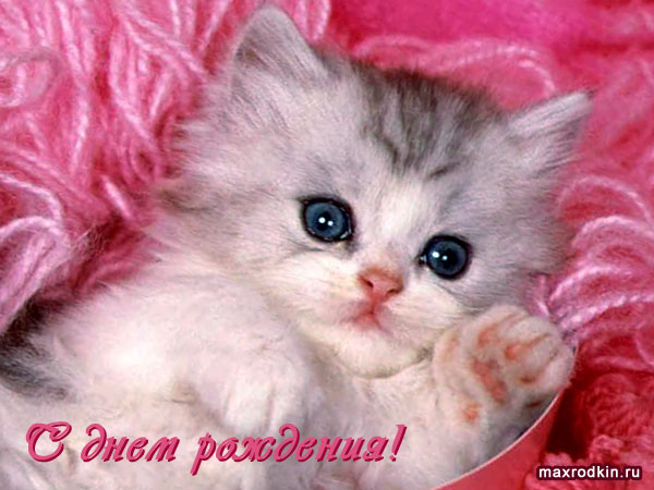 https://upforme.ru/uploads/0000/14/18/1038/t68090.jpg