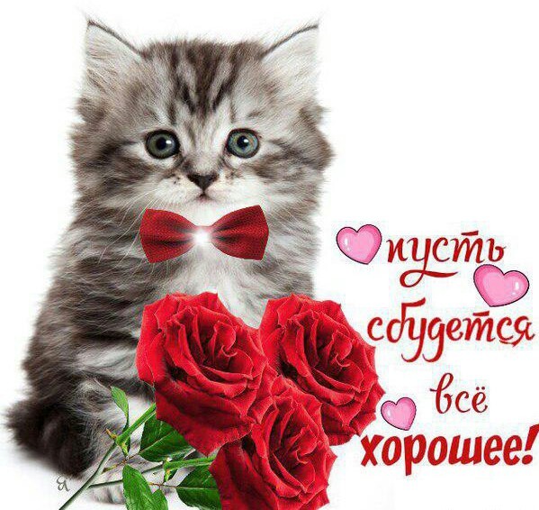 https://upforme.ru/uploads/0000/14/18/11938/97617.jpg