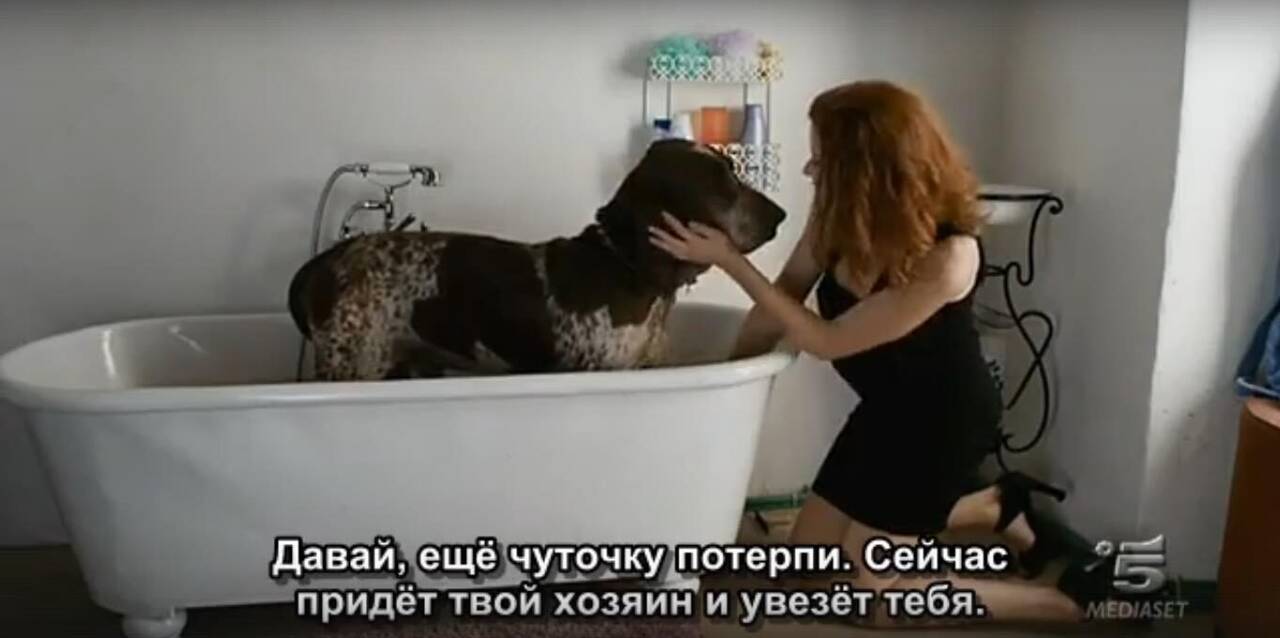 https://upforme.ru/uploads/0000/14/18/17270/455780.jpg