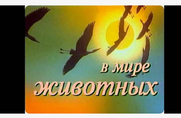 https://upforme.ru/uploads/0000/14/18/20194/t220466.png
