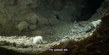 https://upforme.ru/uploads/0000/14/18/20336/t26308.png