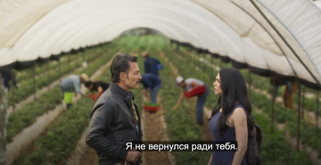 https://upforme.ru/uploads/0000/14/18/20336/t310228.png