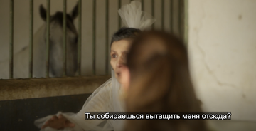 https://upforme.ru/uploads/0000/14/18/20336/t681021.png
