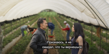 https://upforme.ru/uploads/0000/14/18/20336/t984918.png