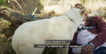 https://upforme.ru/uploads/0000/14/18/20336/t996870.png