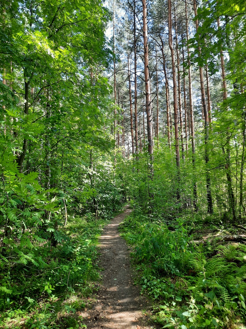 https://upforme.ru/uploads/0000/14/1c/13081/242658.jpg