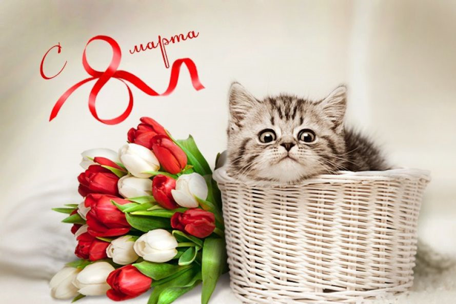 https://upforme.ru/uploads/0000/14/1c/22787/425200.jpg