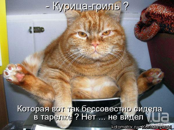 https://upforme.ru/uploads/0000/14/1c/30156/396208.jpg
