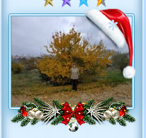 https://upforme.ru/uploads/0000/14/1c/31992/894510.png