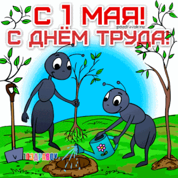 https://upforme.ru/uploads/0000/14/1c/36897/t732790.gif