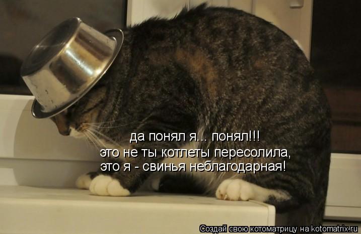 https://upforme.ru/uploads/0000/14/1c/37394/957991.jpg