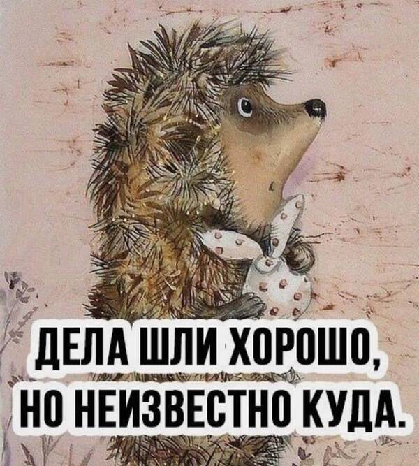https://upforme.ru/uploads/0000/14/1c/37617/t60436.jpg