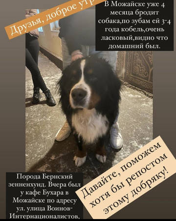 https://upforme.ru/uploads/0000/16/72/2314/t146037.jpg