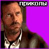 https://upforme.ru/uploads/0000/17/f4/83-1.gif