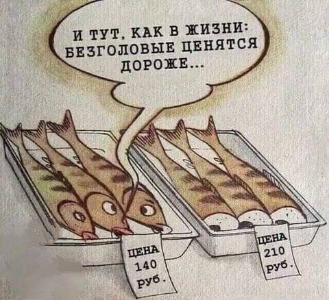 https://upforme.ru/uploads/0000/18/53/181/t33416.jpg