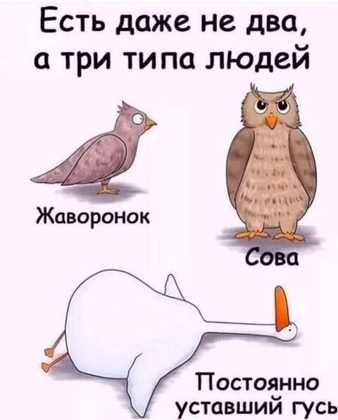 https://upforme.ru/uploads/0000/18/53/181/t392005.jpg