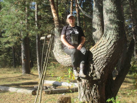 https://upforme.ru/uploads/0000/18/53/181/t500831.jpg
