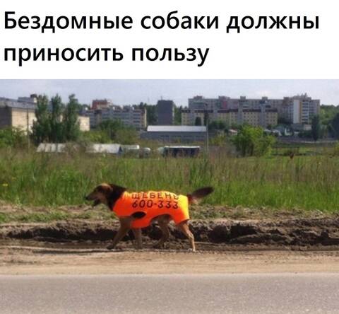 https://upforme.ru/uploads/0000/18/53/19/t305177.jpg