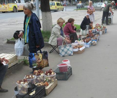 https://upforme.ru/uploads/0000/18/53/19/t534915.jpg
