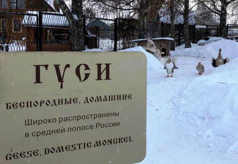 https://upforme.ru/uploads/0000/18/53/19/t555535.jpg