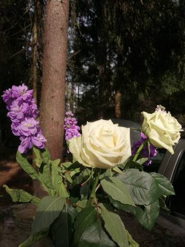 https://upforme.ru/uploads/0000/18/53/5/t866137.jpg