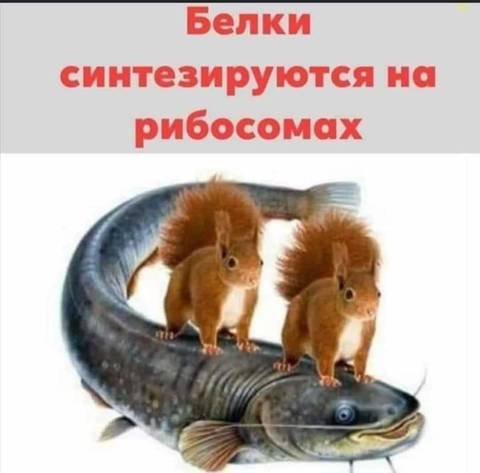 https://upforme.ru/uploads/0000/18/53/77/t971948.jpg