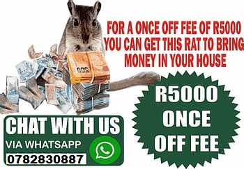 https://upforme.ru/uploads/0000/19/ec/52/t258186.jpg