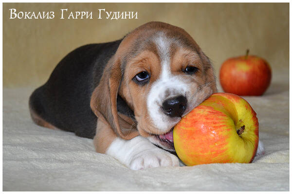 https://upforme.ru/uploads/0000/1c/6a/1075/t50102.jpg