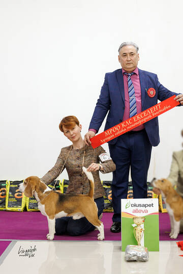 https://upforme.ru/uploads/0000/1c/6a/11143/t624762.jpg