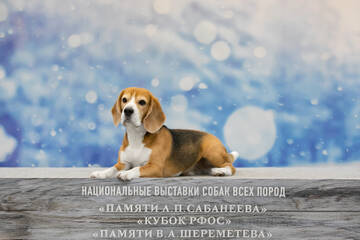 https://upforme.ru/uploads/0000/1c/6a/11861/t153475.jpg