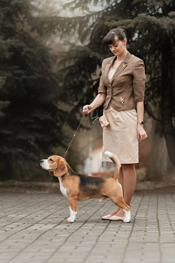 https://upforme.ru/uploads/0000/1c/6a/11861/t38686.jpg