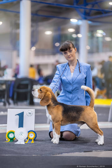 https://upforme.ru/uploads/0000/1c/6a/11861/t53004.jpg