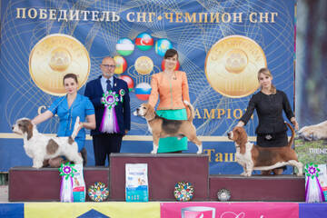 https://upforme.ru/uploads/0000/1c/6a/11861/t666499.jpg