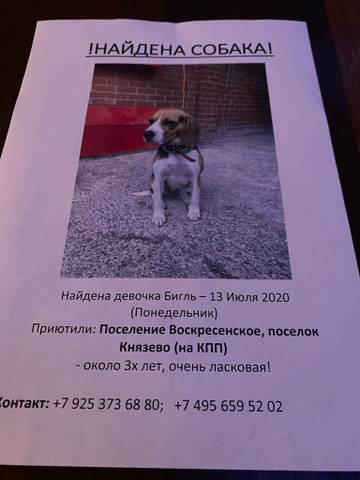 https://upforme.ru/uploads/0000/1c/6a/11946/t440421.jpg