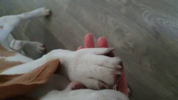 https://upforme.ru/uploads/0000/1c/6a/11975/t262398.jpg