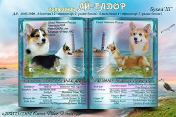 https://upforme.ru/uploads/0000/1c/6a/11996/t153903.jpg