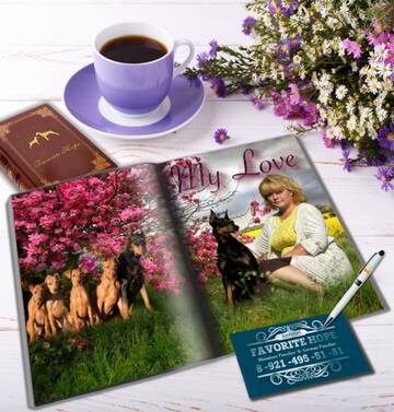 https://upforme.ru/uploads/0000/1c/6a/11996/t392128.jpg