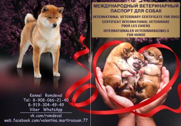 https://upforme.ru/uploads/0000/1c/6a/11996/t433829.jpg