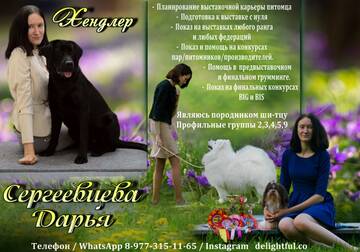 https://upforme.ru/uploads/0000/1c/6a/11996/t485609.jpg