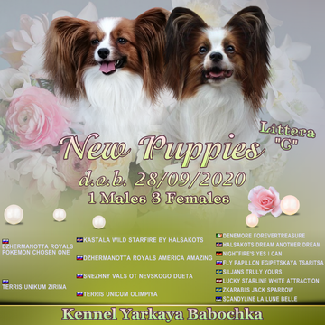 https://upforme.ru/uploads/0000/1c/6a/11996/t752641.png