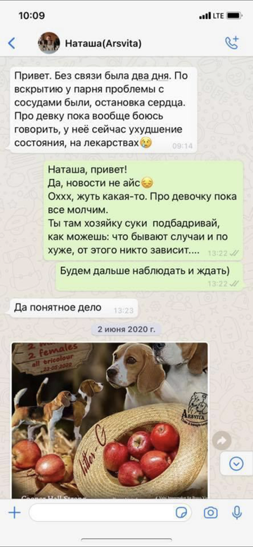 https://upforme.ru/uploads/0000/1c/6a/12076/t893943.png