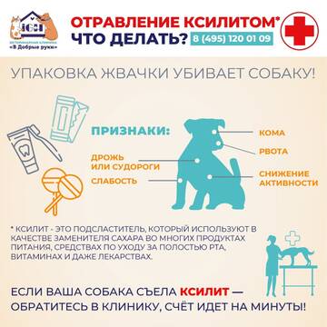 https://upforme.ru/uploads/0000/1c/6a/12295/t152826.jpg
