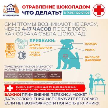 https://upforme.ru/uploads/0000/1c/6a/12295/t461778.jpg
