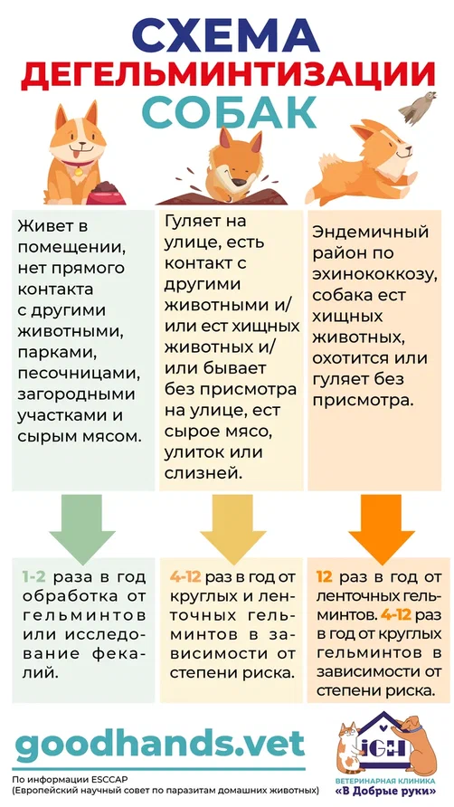 https://upforme.ru/uploads/0000/1c/6a/12538/142042.png