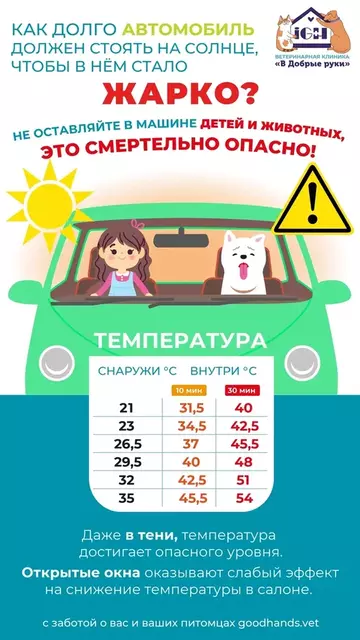 https://upforme.ru/uploads/0000/1c/6a/12614/t116426.webp