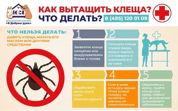 https://upforme.ru/uploads/0000/1c/6a/12614/t539428.webp