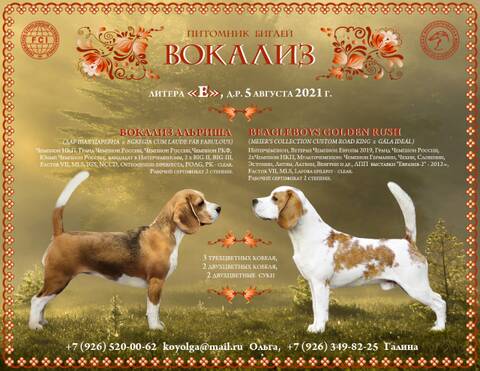https://upforme.ru/uploads/0000/1c/6a/1275/t655696.jpg