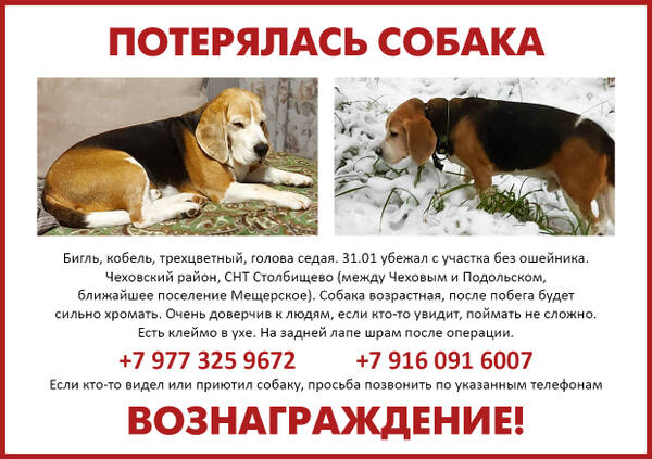 https://upforme.ru/uploads/0000/1c/6a/1275/t683215.jpg