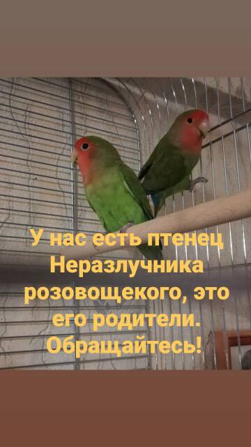 https://upforme.ru/uploads/0000/1c/6a/1302/t482734.jpg