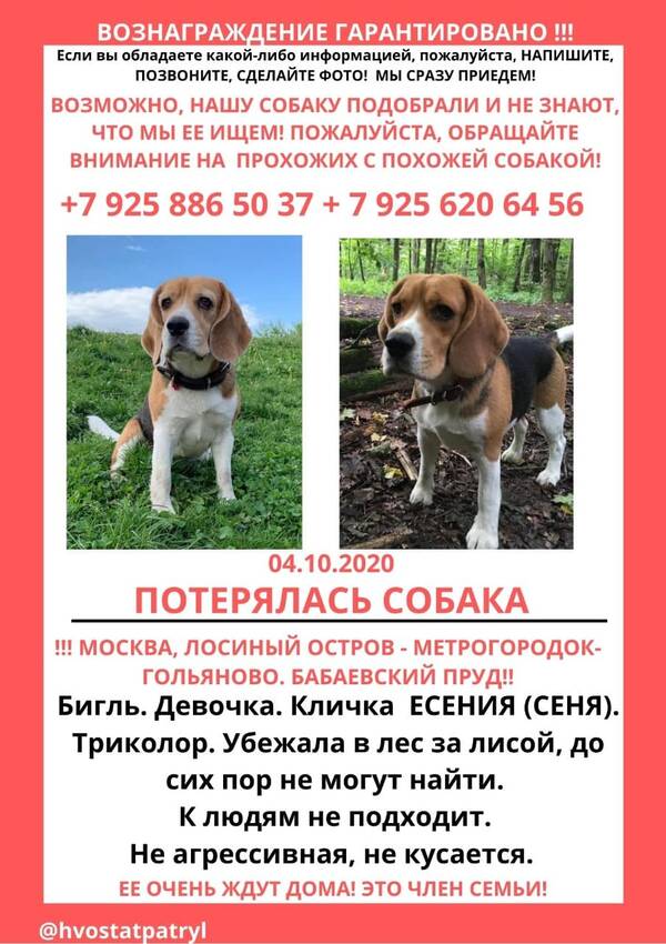 https://upforme.ru/uploads/0000/1c/6a/1953/t562567.jpg